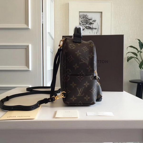 Louis Vuitton Monogram Canvas PALM SPRINGS BACKPACK MINI M41562