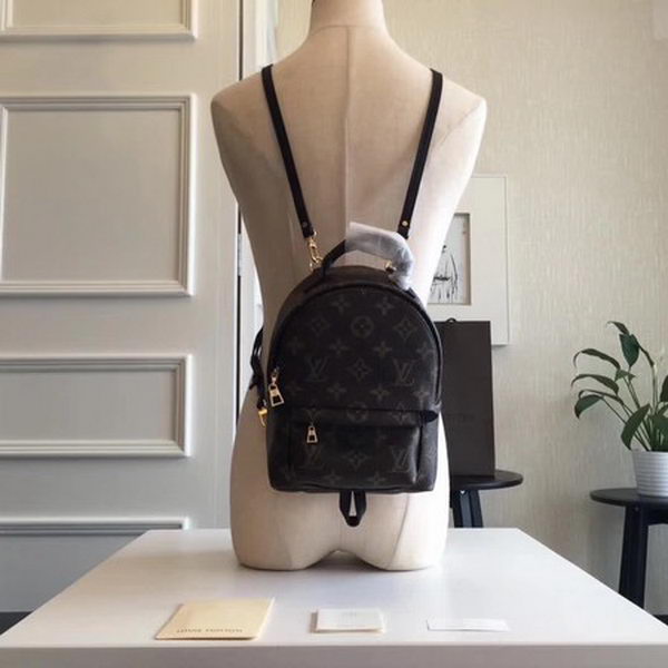 Louis Vuitton Monogram Canvas PALM SPRINGS BACKPACK MINI M41562