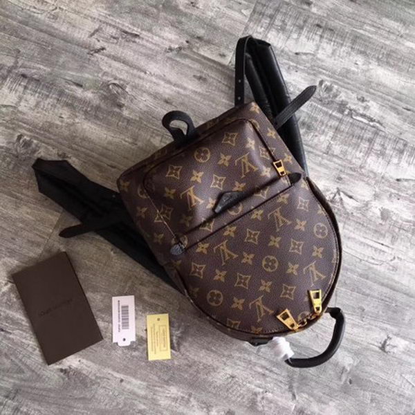 Louis Vuitton Monogram Canvas PALM SPRINGS BACKPACK PM M41560