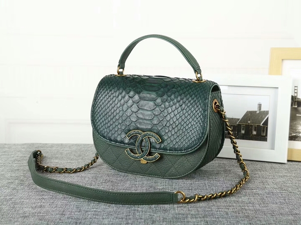 Chanel 2017 Original Python Leather Shoulder Bag 8125 Green