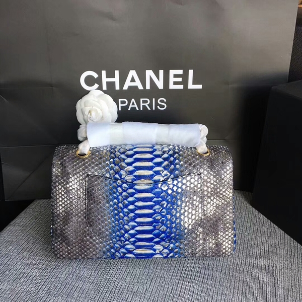 Chanel Original Python Leather Shoulder Bag CF1112Y