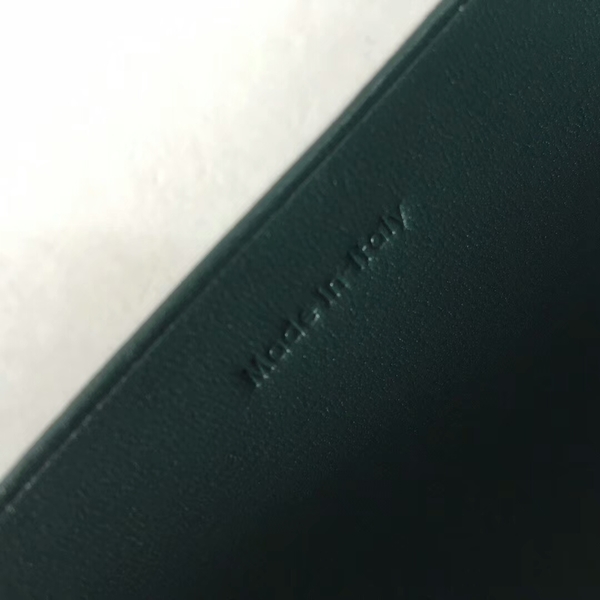 Celine FRAME Calfskin Leather Mini Shoulder Bag 43344 Green&White