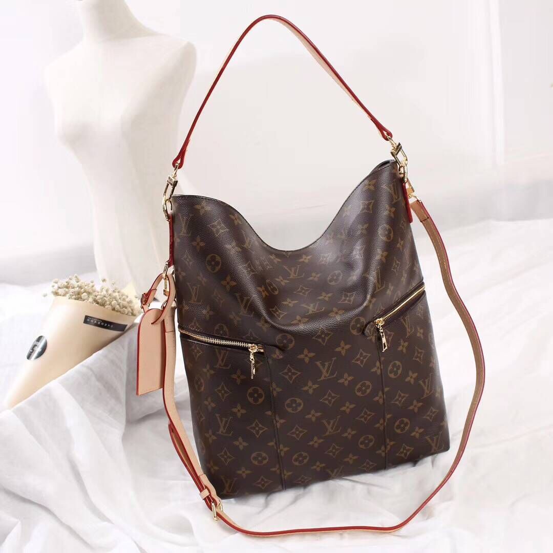 Louis Vuitton Monogram Canvas 41544