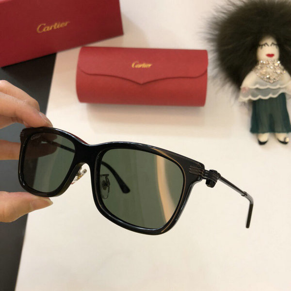 Cartier Sunglasses CTS18047013
