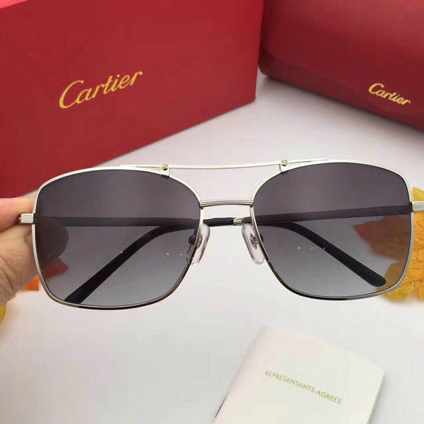 Cartier Sunglasses CTS18047017
