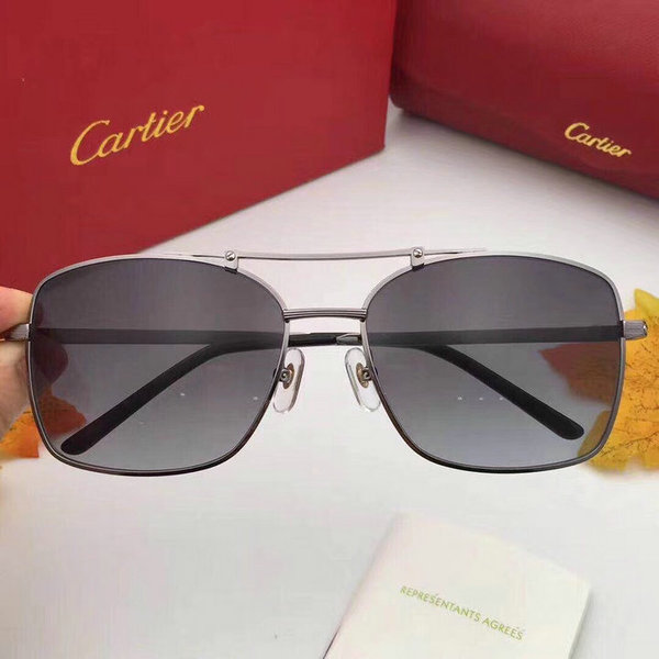 Cartier Sunglasses CTS18047018