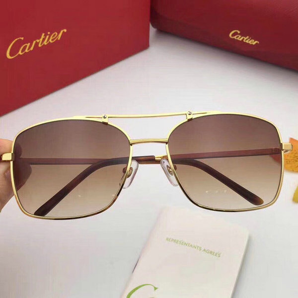 Cartier Sunglasses CTS18047019