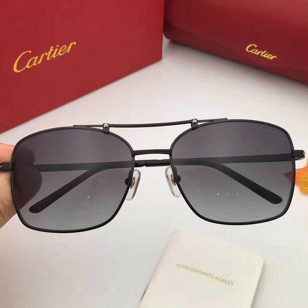Cartier Sunglasses CTS18047020