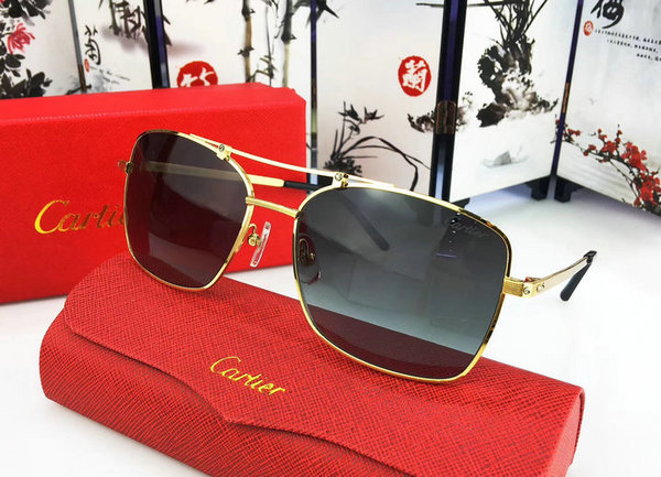Cartier Sunglasses CTS18047021