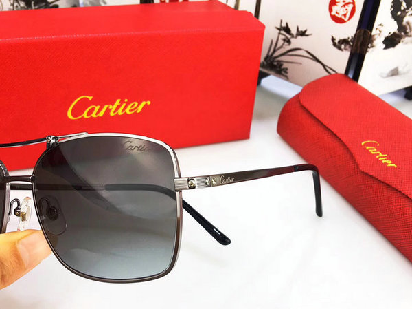Cartier Sunglasses CTS18047024