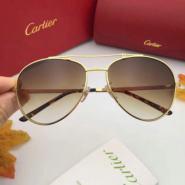 Cartier Sunglasses CTS18047025