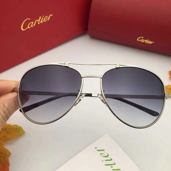 Cartier Sunglasses CTS18047026