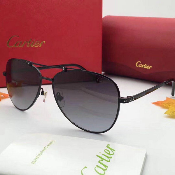 Cartier Sunglasses CTS18047027