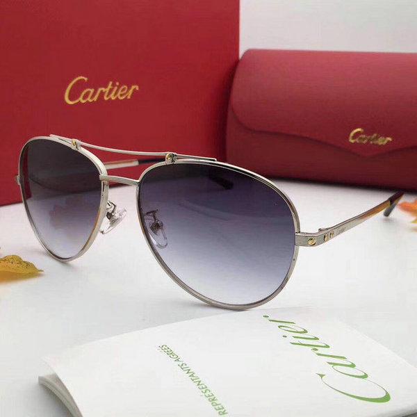 Cartier Sunglasses CTS18047028