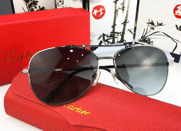 Cartier Sunglasses CTS18047029