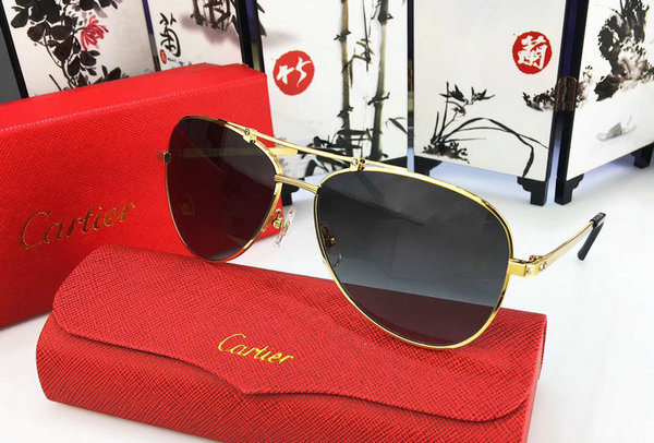 Cartier Sunglasses CTS18047030