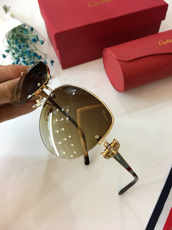 Cartier Sunglasses CTS18047035