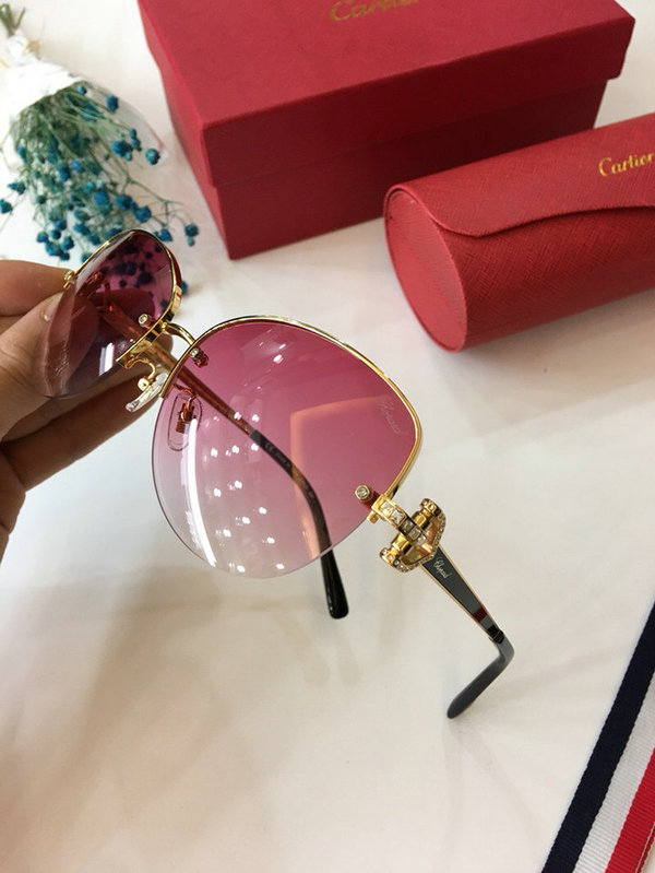 Cartier Sunglasses CTS18047037