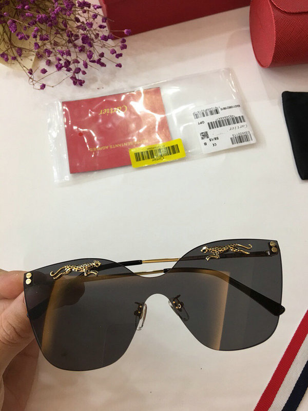 Cartier Sunglasses CTS18047054