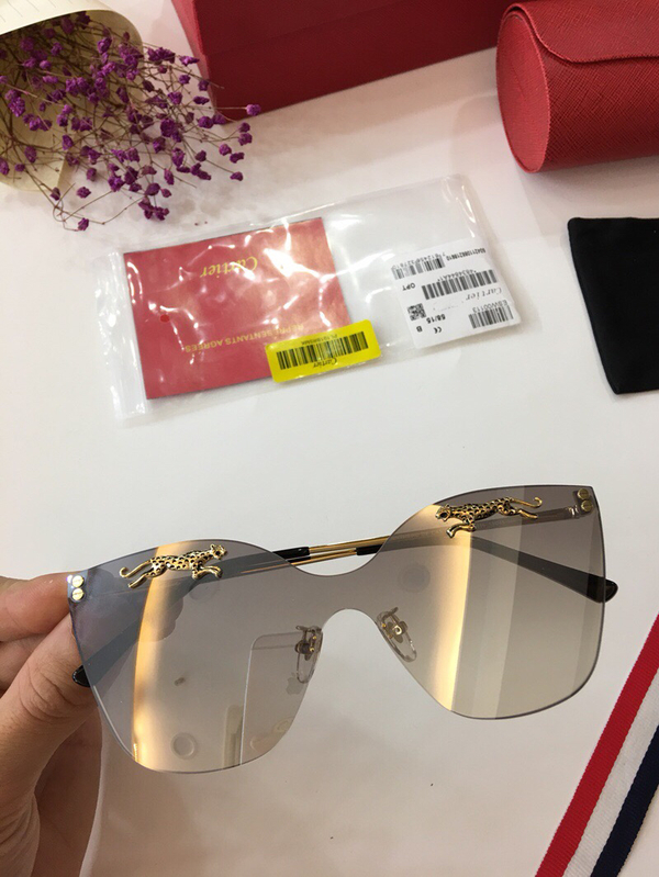 Cartier Sunglasses CTS18047057
