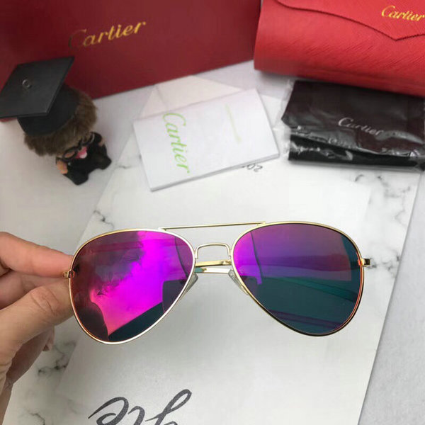 Cartier Sunglasses CTS18047070