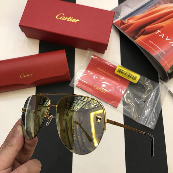 Cartier Sunglasses CTS18047077