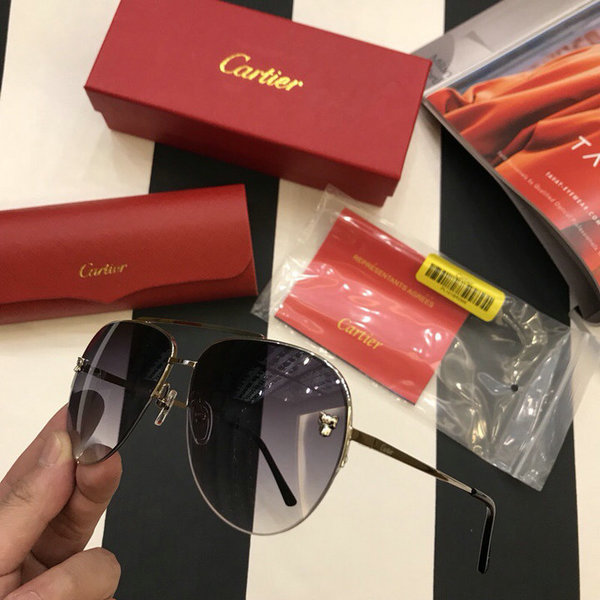 Cartier Sunglasses CTS18047078