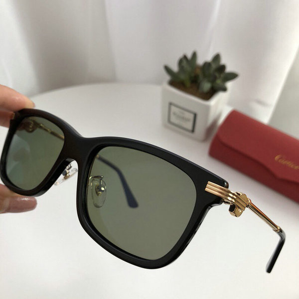 Cartier Sunglasses CTS18047082