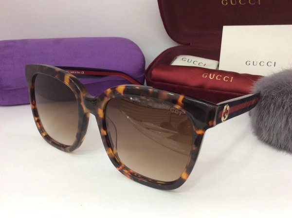 Gucci Sunglasses GGS150272G564