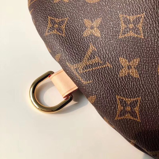 Louis vuitton  monogram canvas BUMBAG M43644