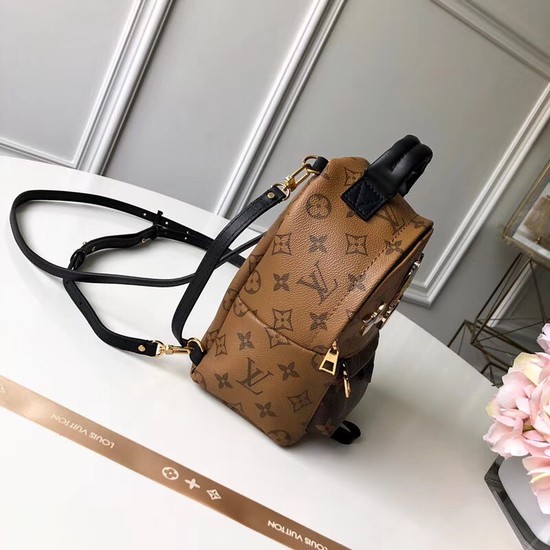 Louis Vuitton PALM SPRINGS BACKPACK MINI M42411