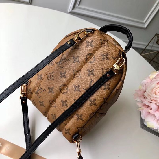 Louis Vuitton PALM SPRINGS BACKPACK MINI M42411