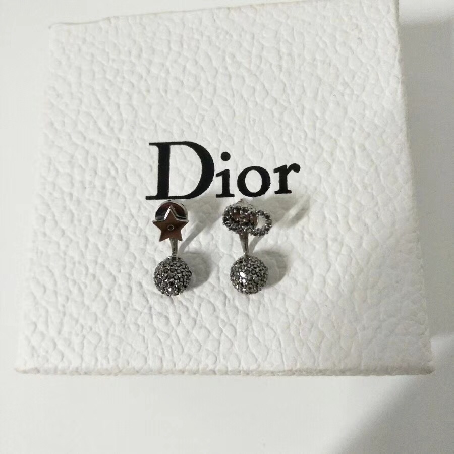 Dior Earrings 3508