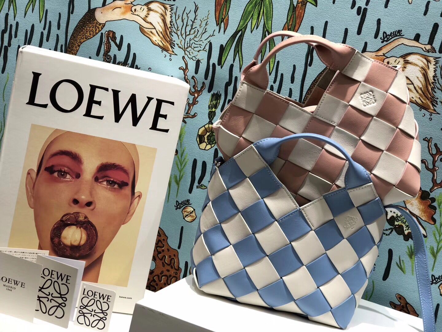 Loewe Woven Basket Gingham Bag Original Leather 25348