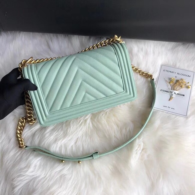 Chanel Leboy Original Caviar leather Shoulder Bag A67086 Light green gold chain