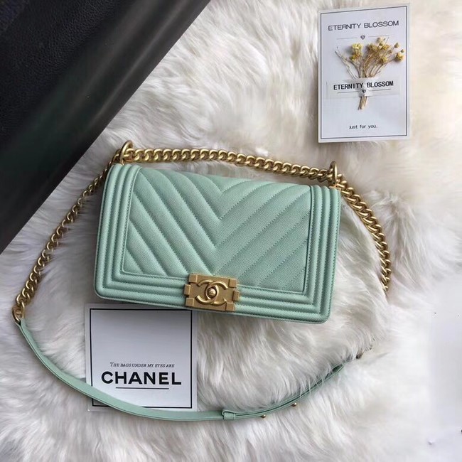 Chanel Leboy Original Caviar leather Shoulder Bag A67086 Light green gold chain