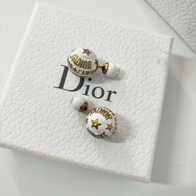 Dior Earrings 445688