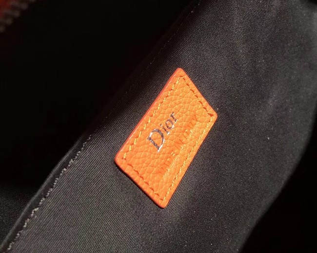 Dior Original Cowhide knapsack S0208 orange