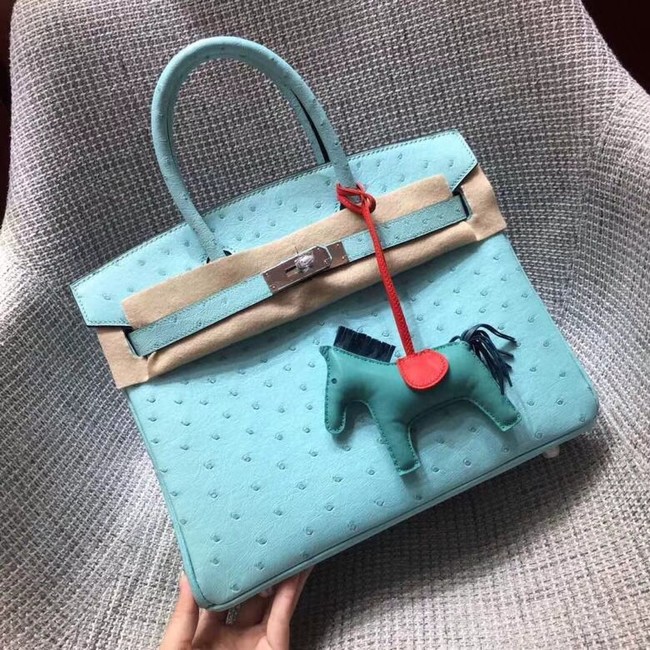 Hermes Real ostrich leather birkin bag BK35 sky blue