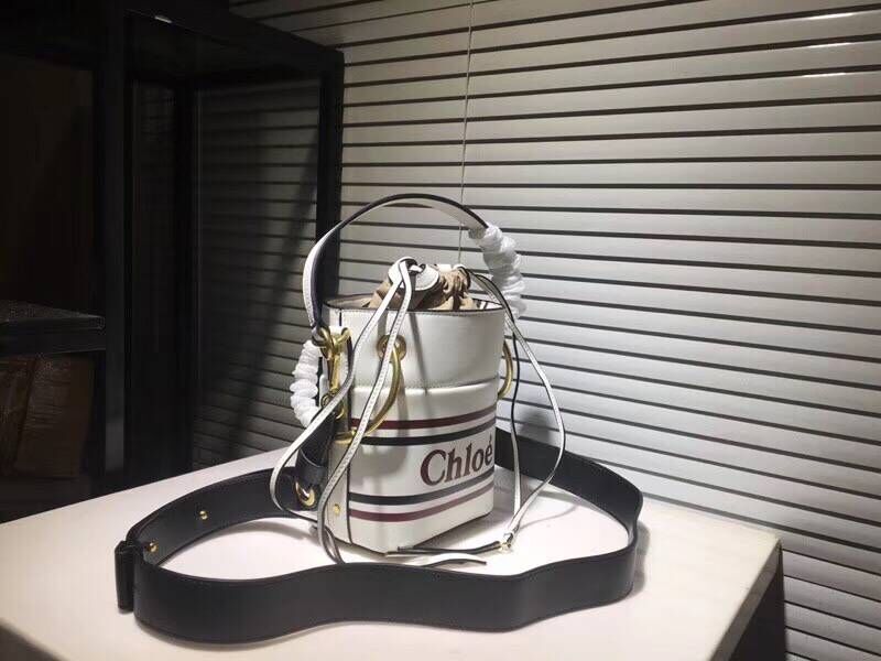 Chloe Roy Mini Smooth Leather Bucket Bag S396 White