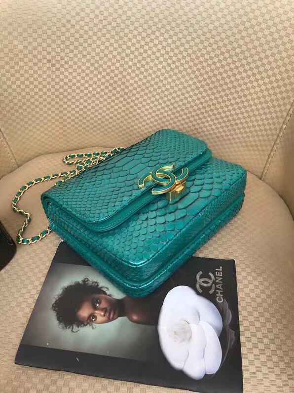 Chanel Original Flap Bag Python, Lambskin & Gold-Tone Metal A57277 green