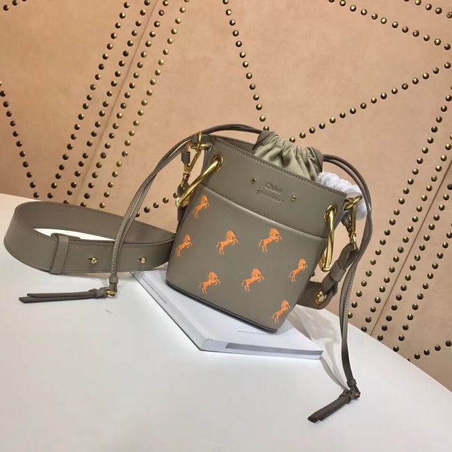 CHLOE Mini Roy leather bucket bag 3E128C grey