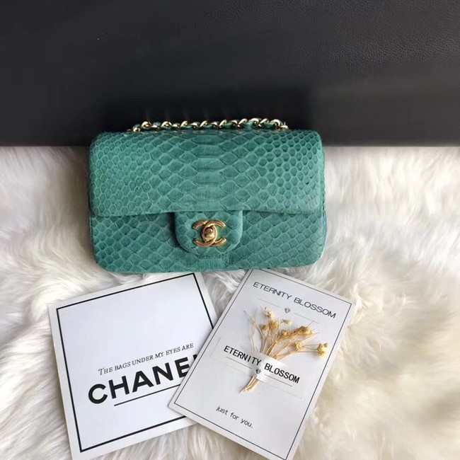 Chanel Mini Flap Bag Python & Gold-Tone Metal A69900 green