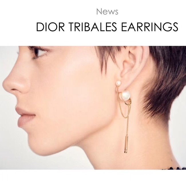 Dior Earrings 4217