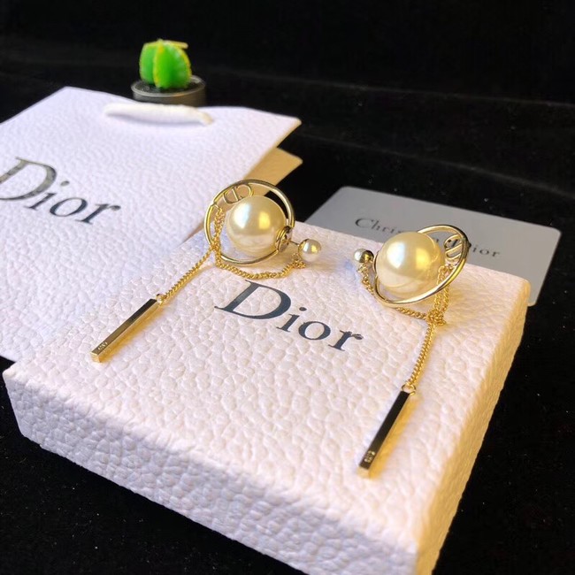 Dior Earrings 4217