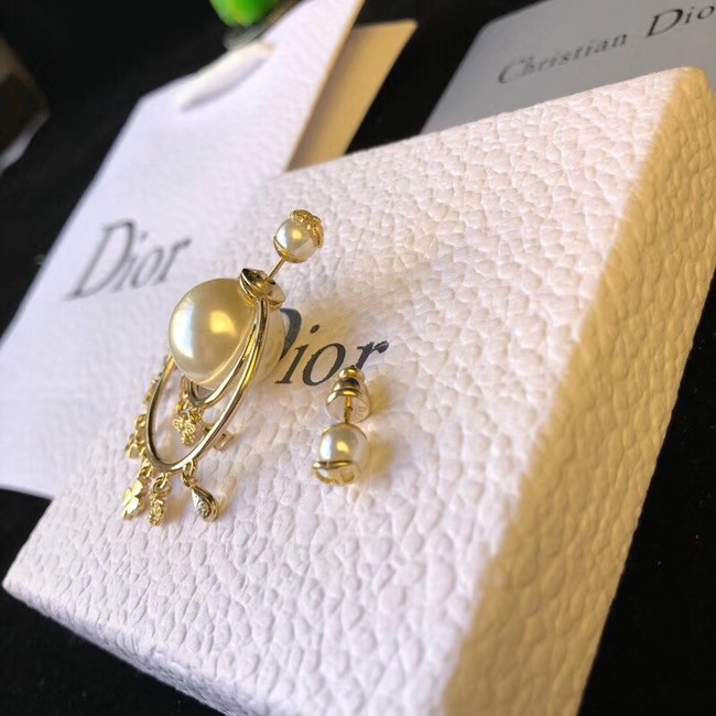 Dior Earrings 4218