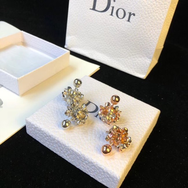 Dior Earrings 4229