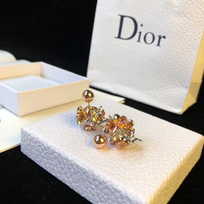 Dior Earrings 4229