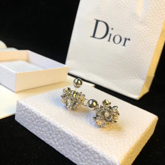 Dior Earrings 4229