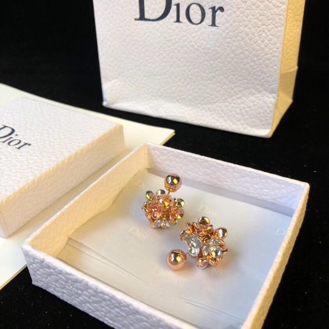 Dior Earrings 4229